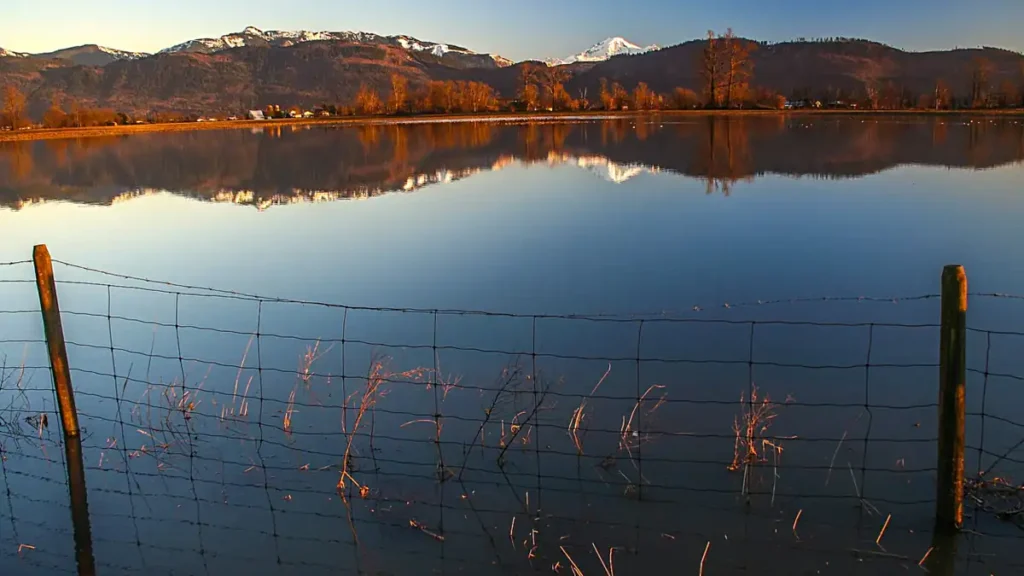 Insured flood costs estimated at M in B.C.’s Fraser Valley Insured flood costs estimated at M in B.C.’s Fraser Valley